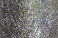 Oakenclough fibreglass roof work